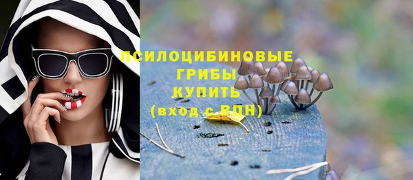 ешки Алексеевка
