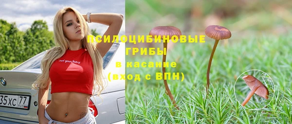 ешки Алексеевка