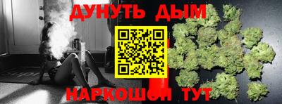 сатива Кунгур