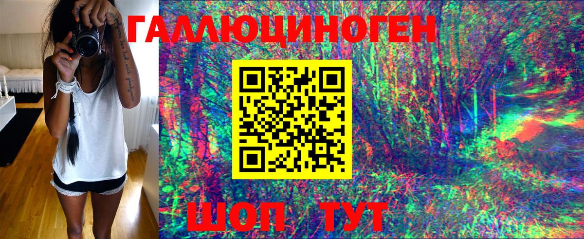 Псилоцибиновые грибы GOLDEN TEACHER  Вход с VPN  Псилоцибиновые грибы мицелий  Новокузнецк 